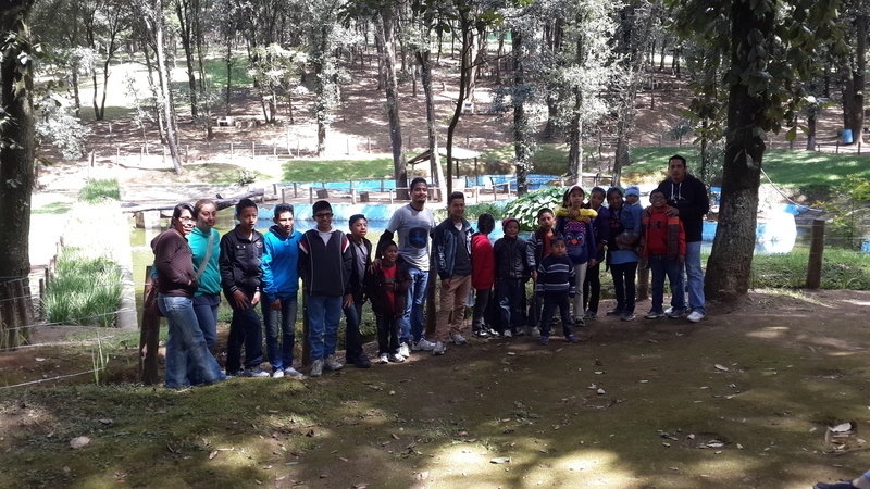A trip to the forest